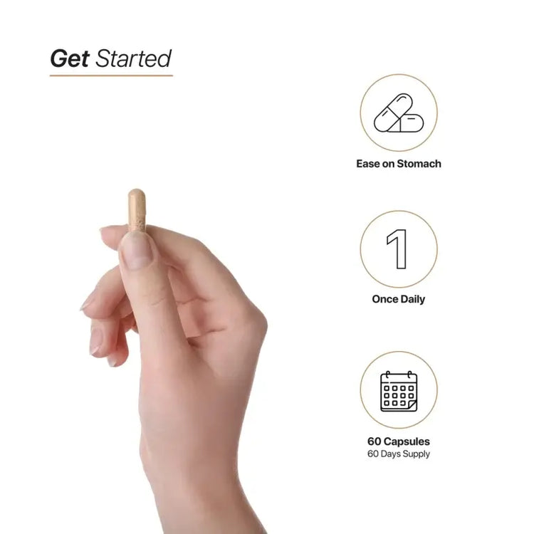 HC Nutrition Magnesium Citrate 60 Capsules HC Nutrition