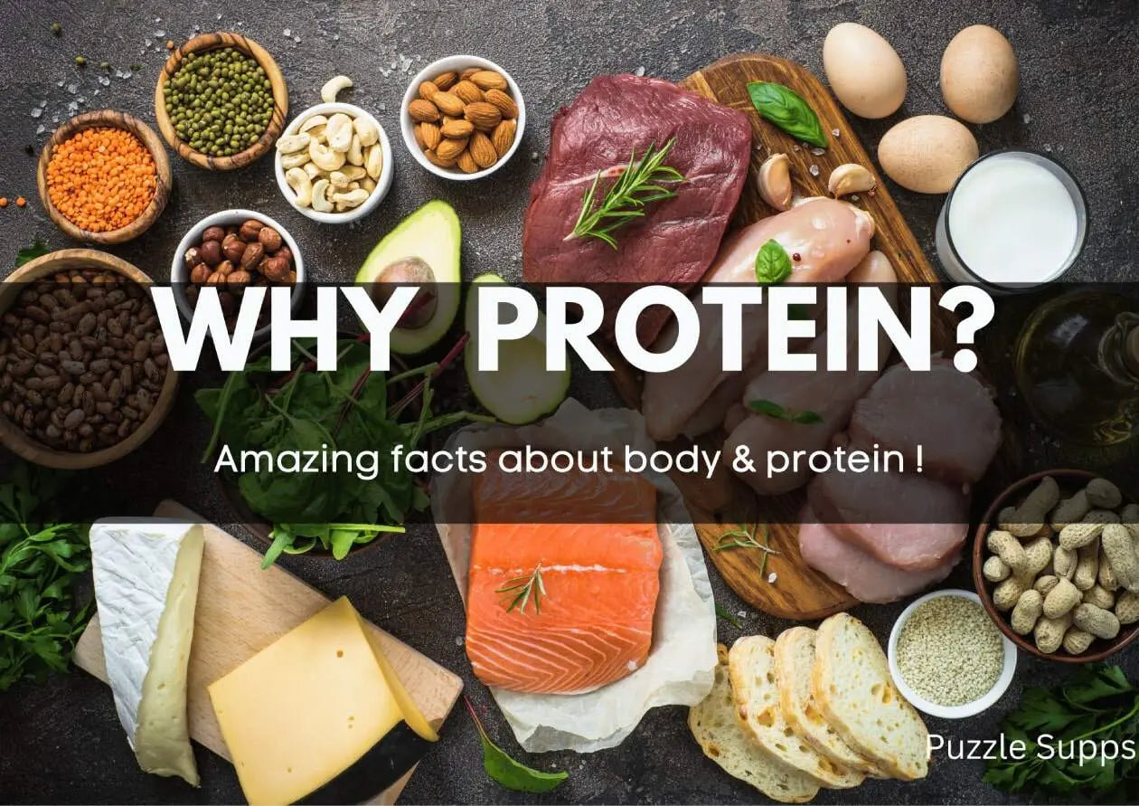 Fuel Your Fitness Journey with Protein: A Comprehensive Guide – Puzzle ...