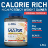 Applied Nutrition Critical Mass Original Formula High Calorie Gainer 2.4kg Aplied Nutrition