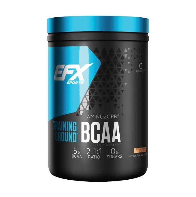 EFX Training Ground BCAA